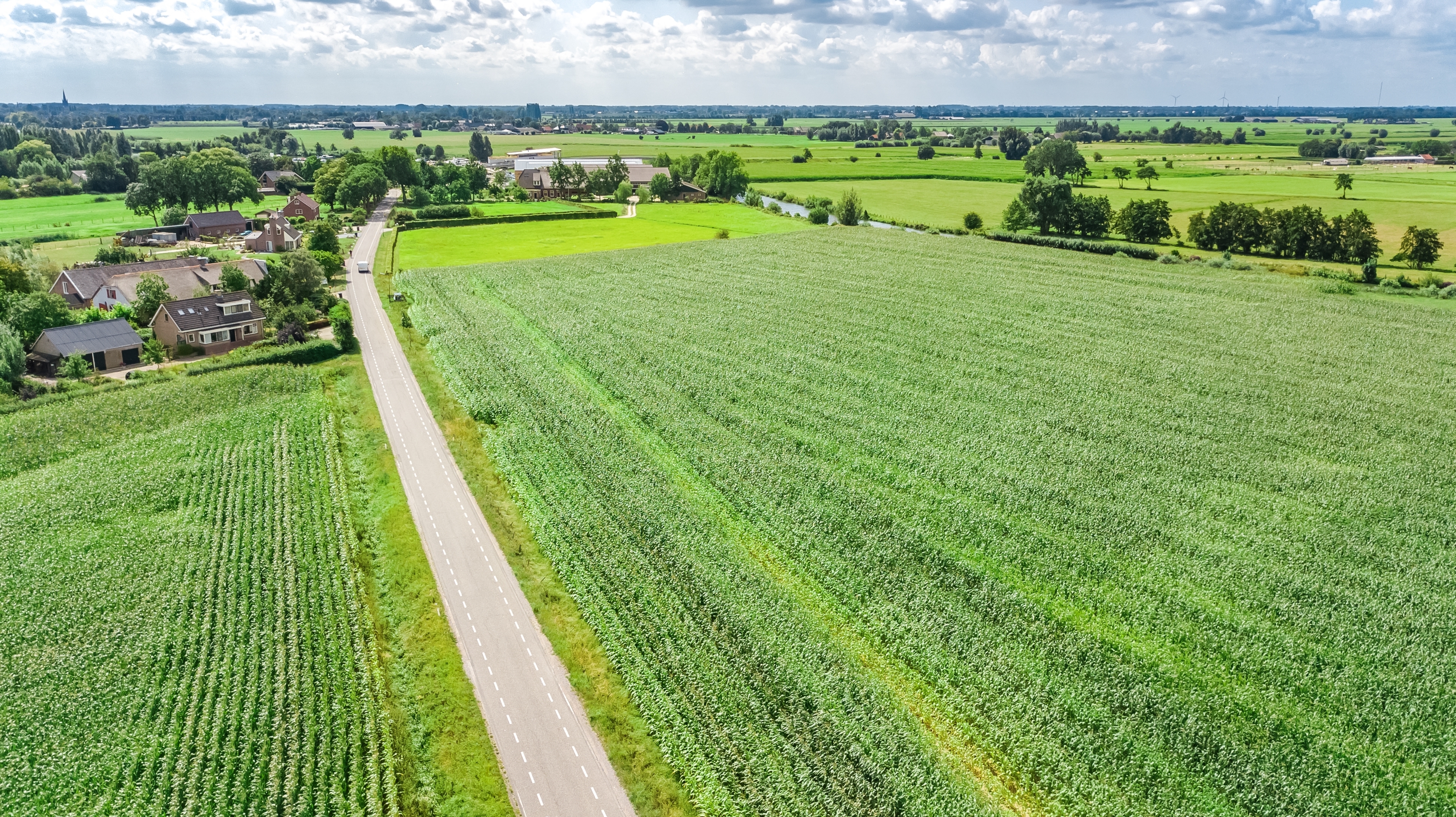 Afbeelding artikel Frans en Simon 1