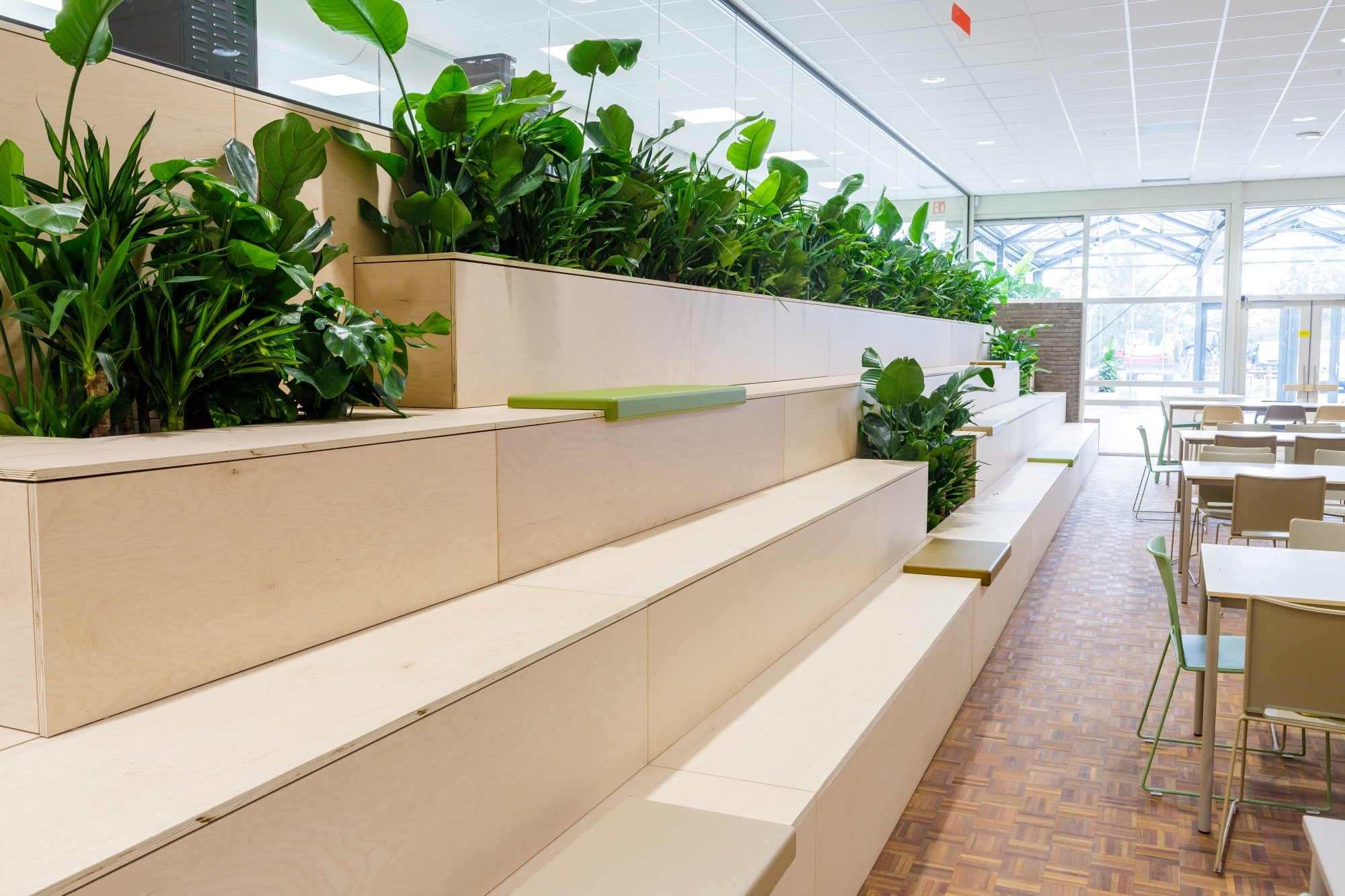 De Vries Svd W 241024 3382 verkleind