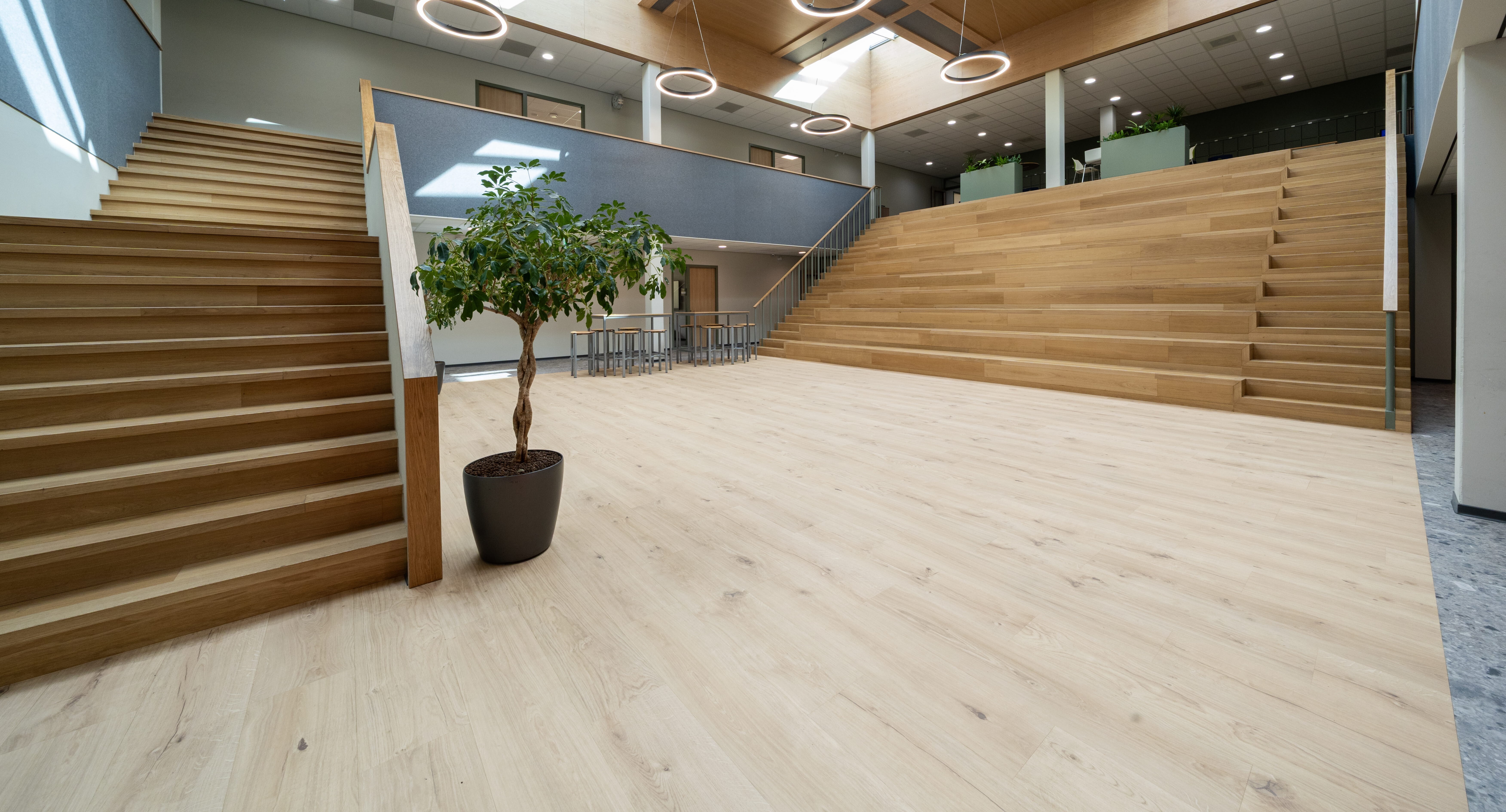 NL Reference Ostrea Lyceum Goes i D 55 Linon 001 3
