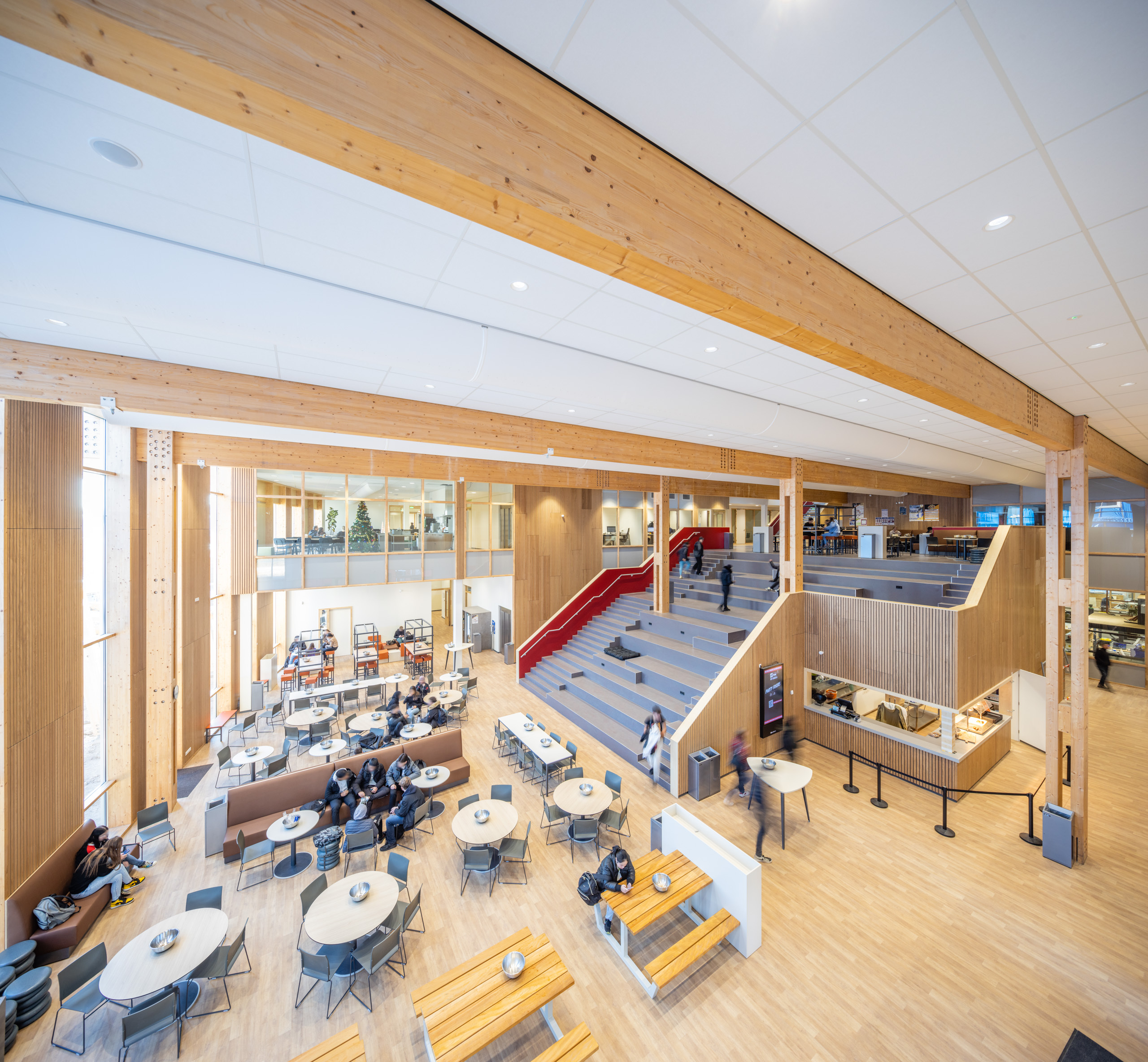 Rothuizen Bossche Vakschool BASE 06 s