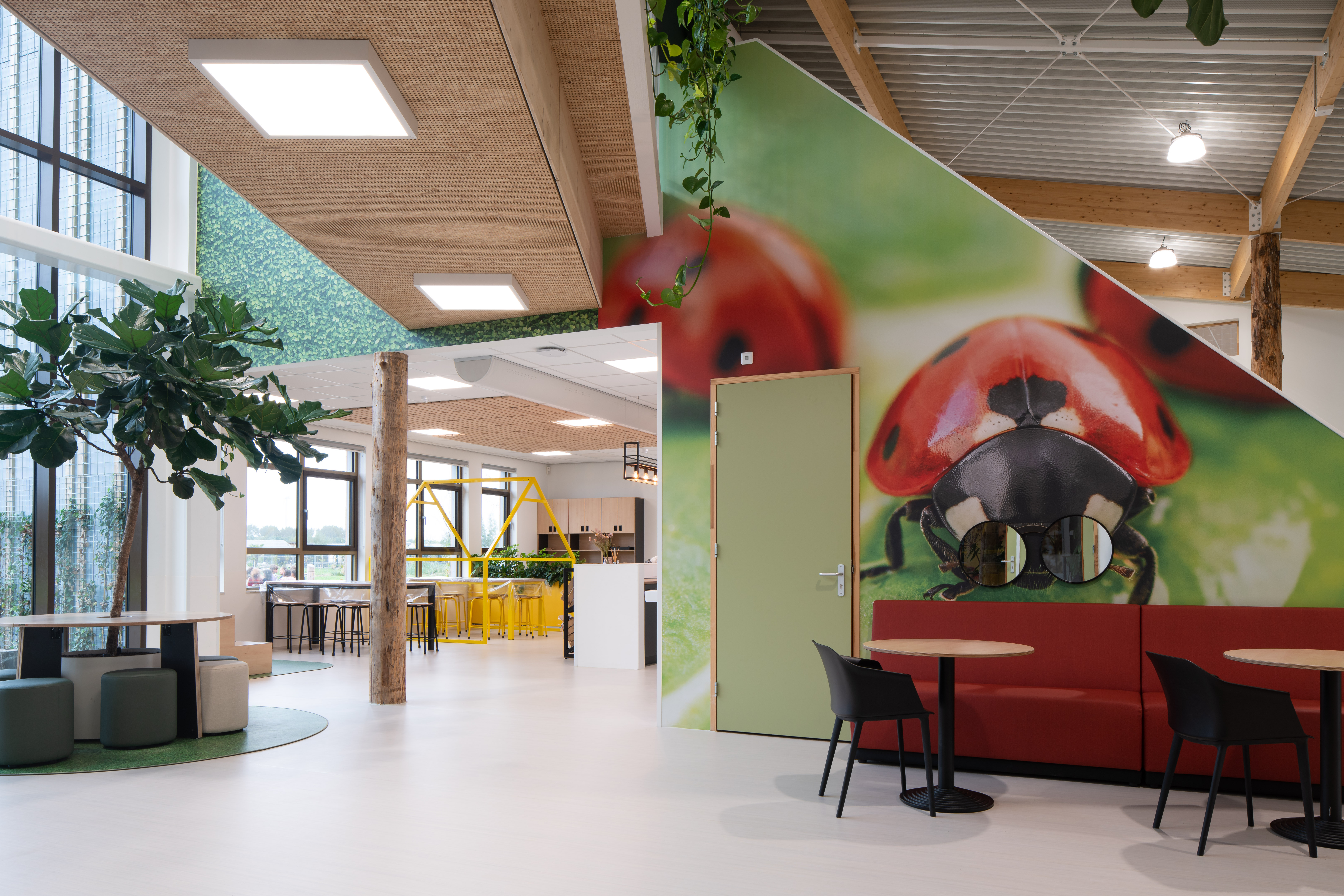 Egbertdeboer com LR20231005 05340 de Verbeelding