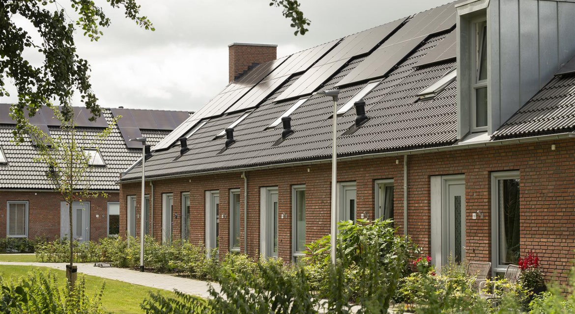 1170x640 DSC 3831 Large