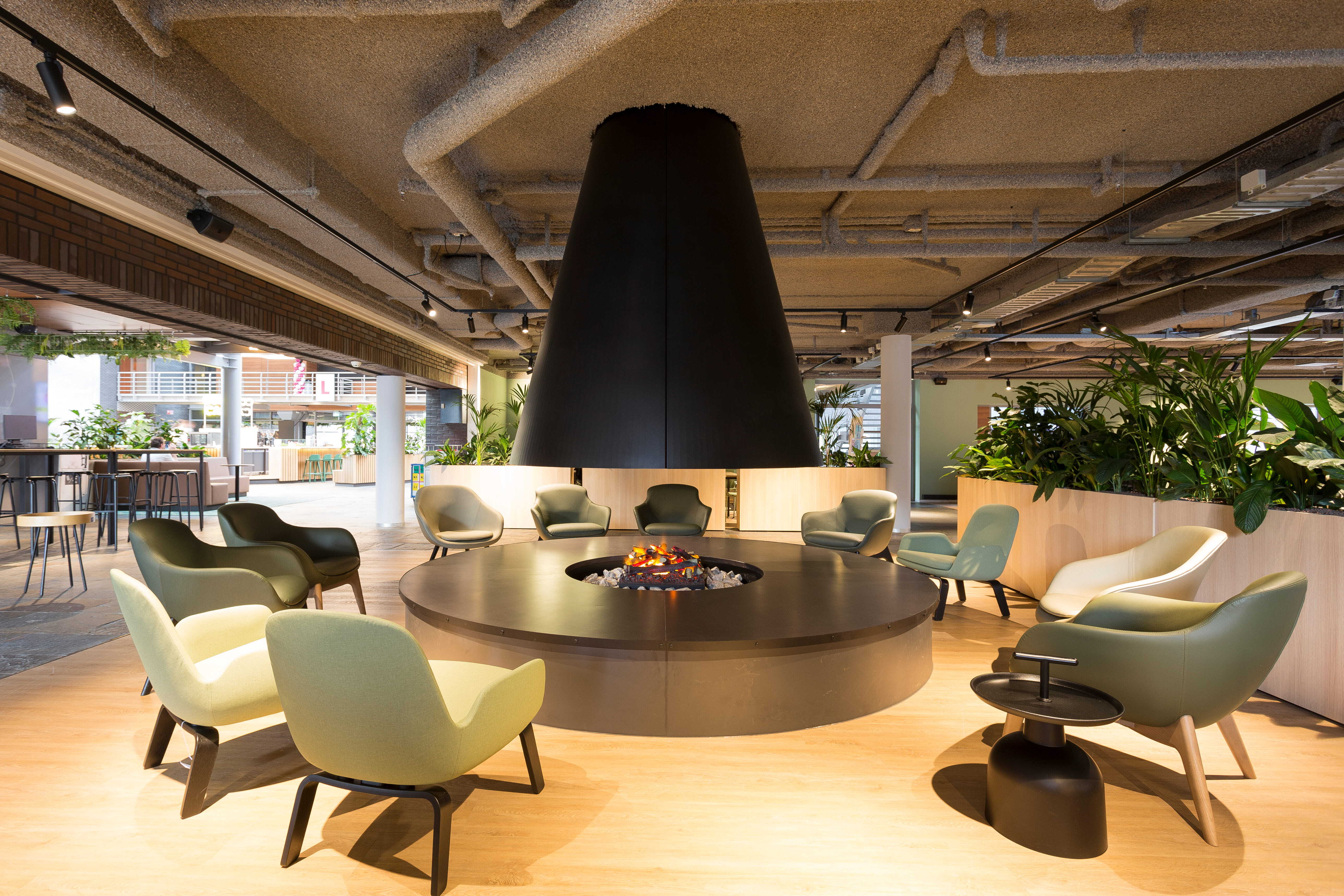 2125 ZENBER In Holland 8444