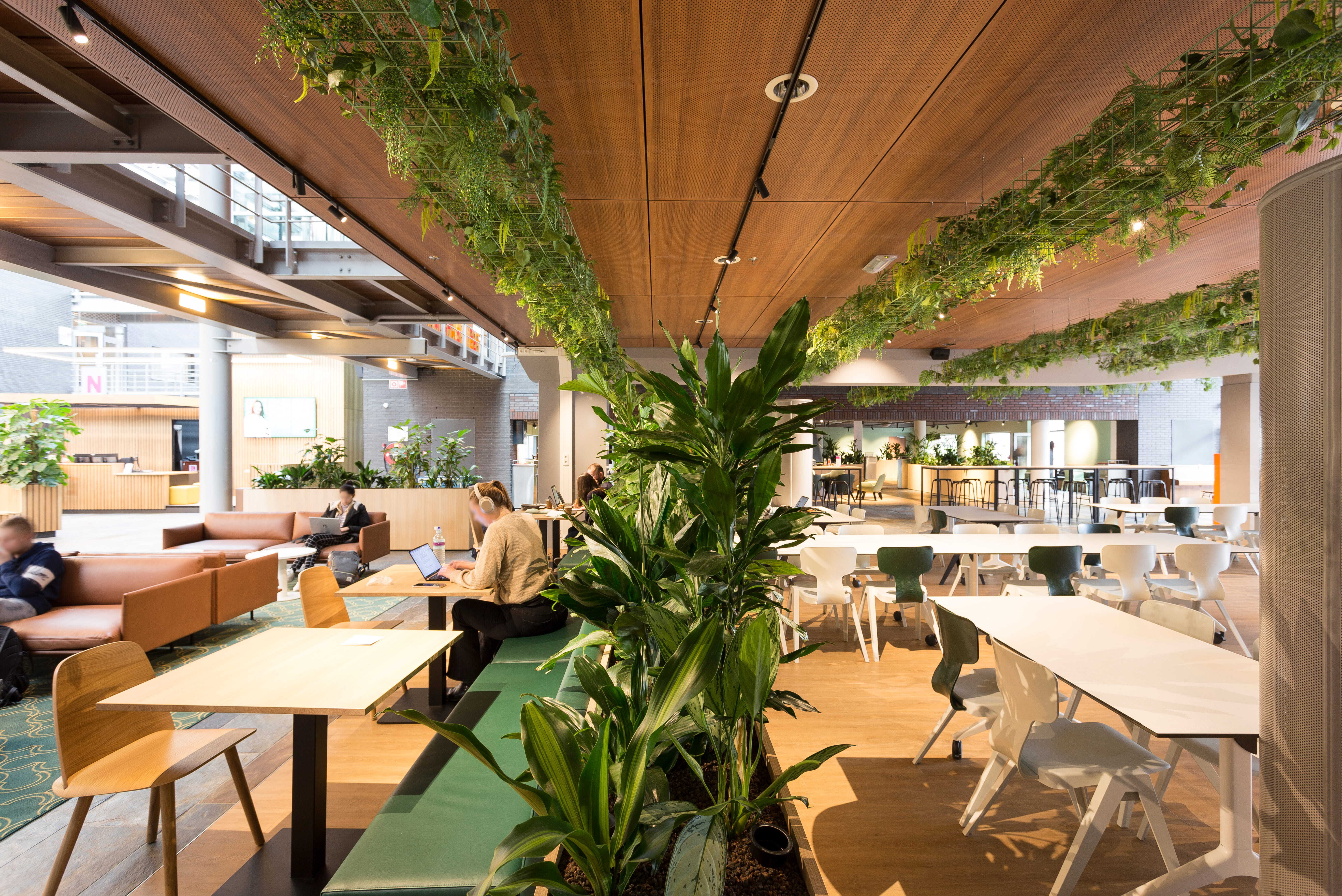 2125 ZENBER In Holland 8458