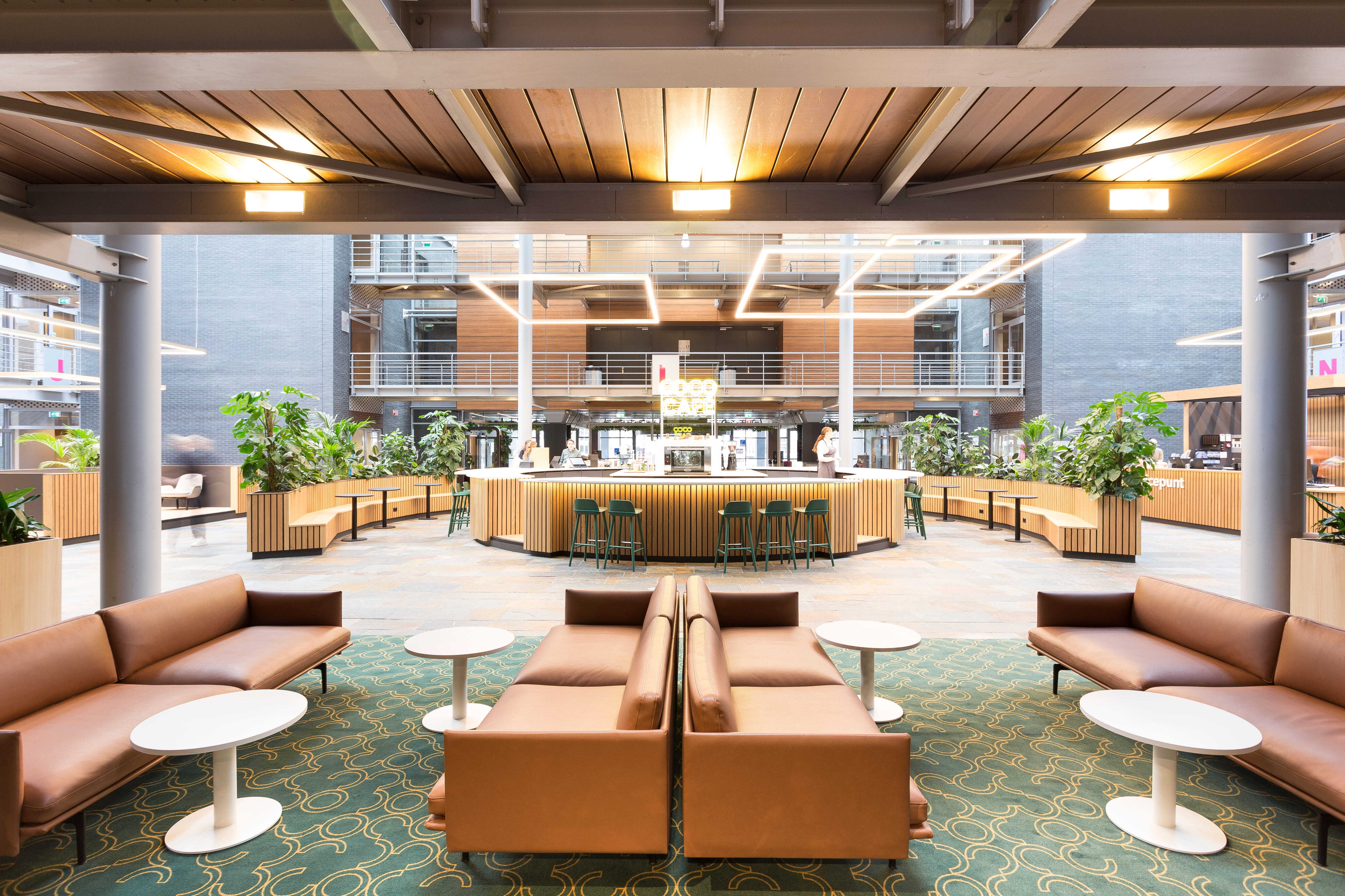 2125 ZENBER In Holland 8480