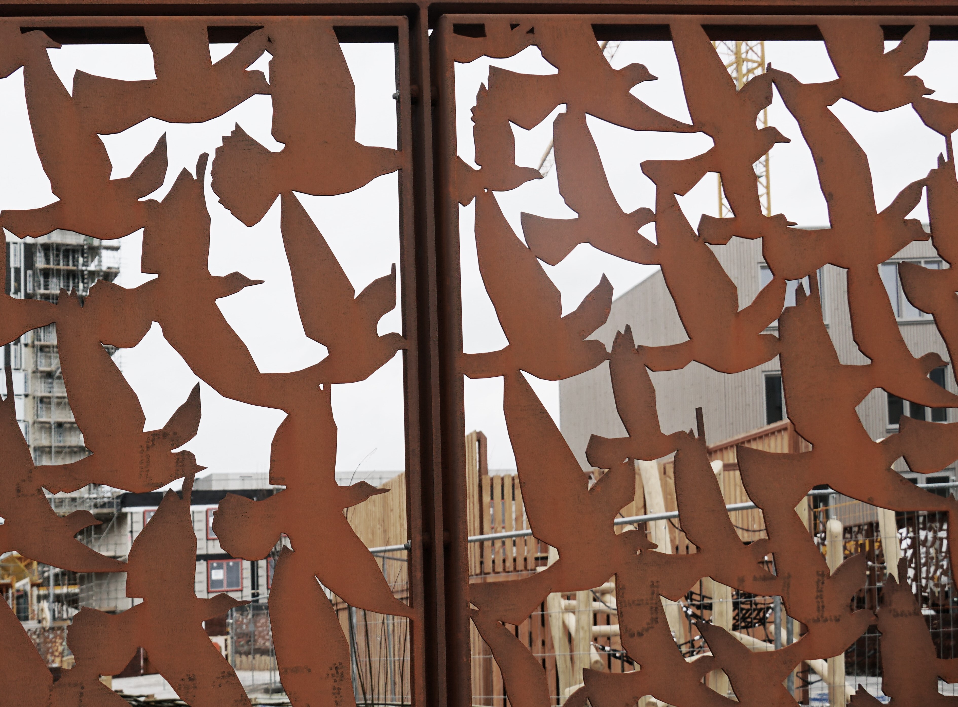 240204 Nelson vogelsa