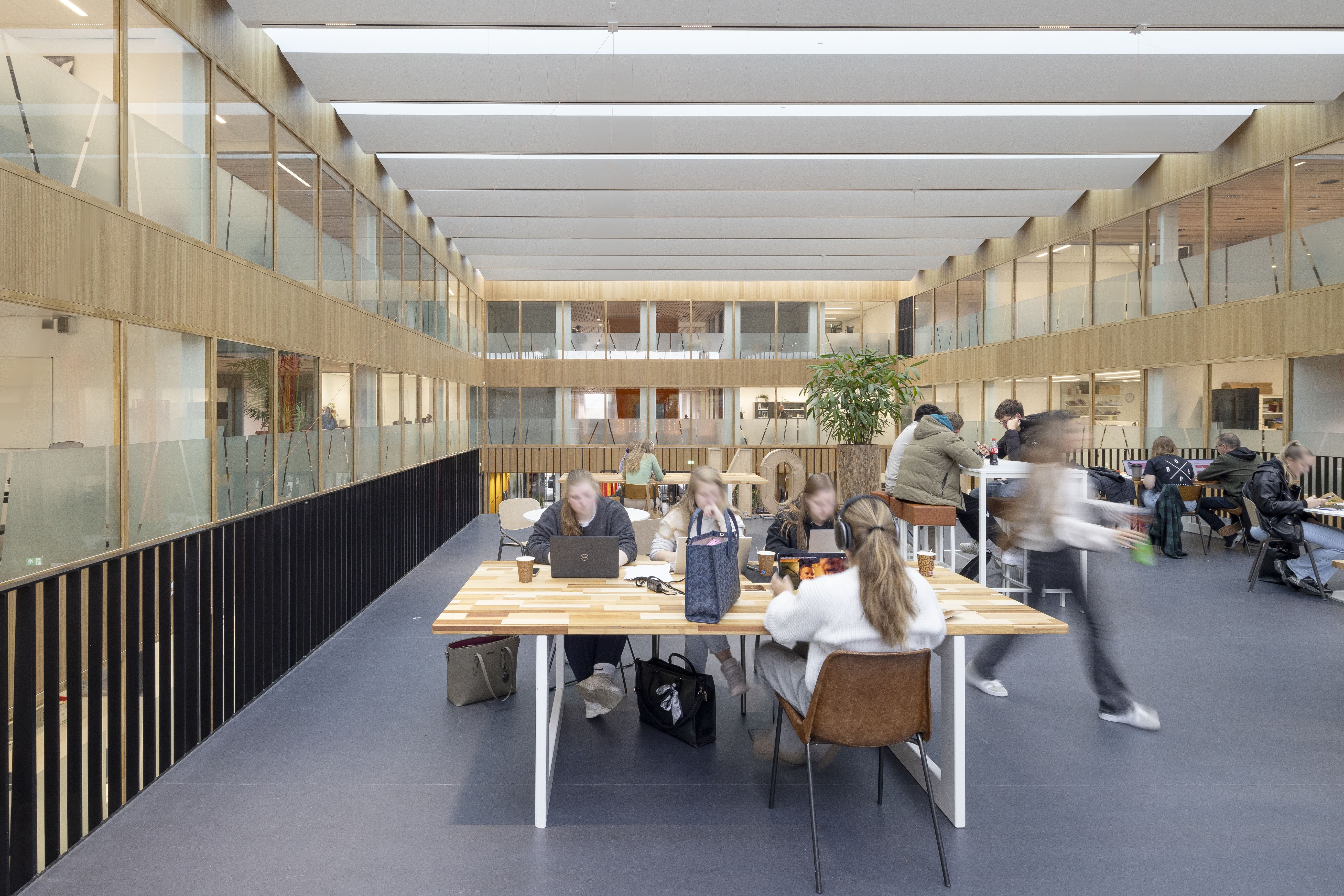 240930 MG 1271 Lucasvanderwee min