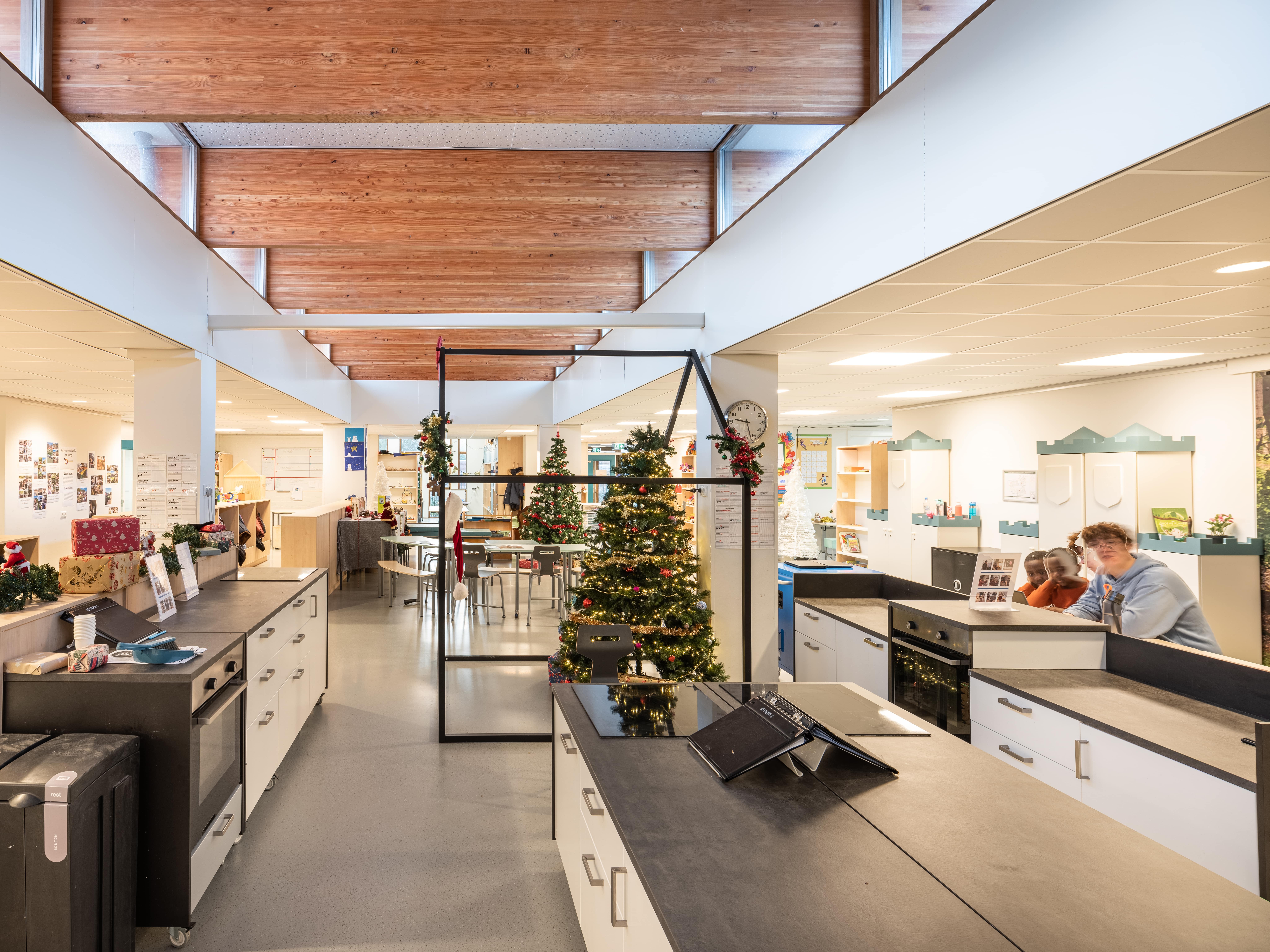 4592 Vuurvogel 2 min