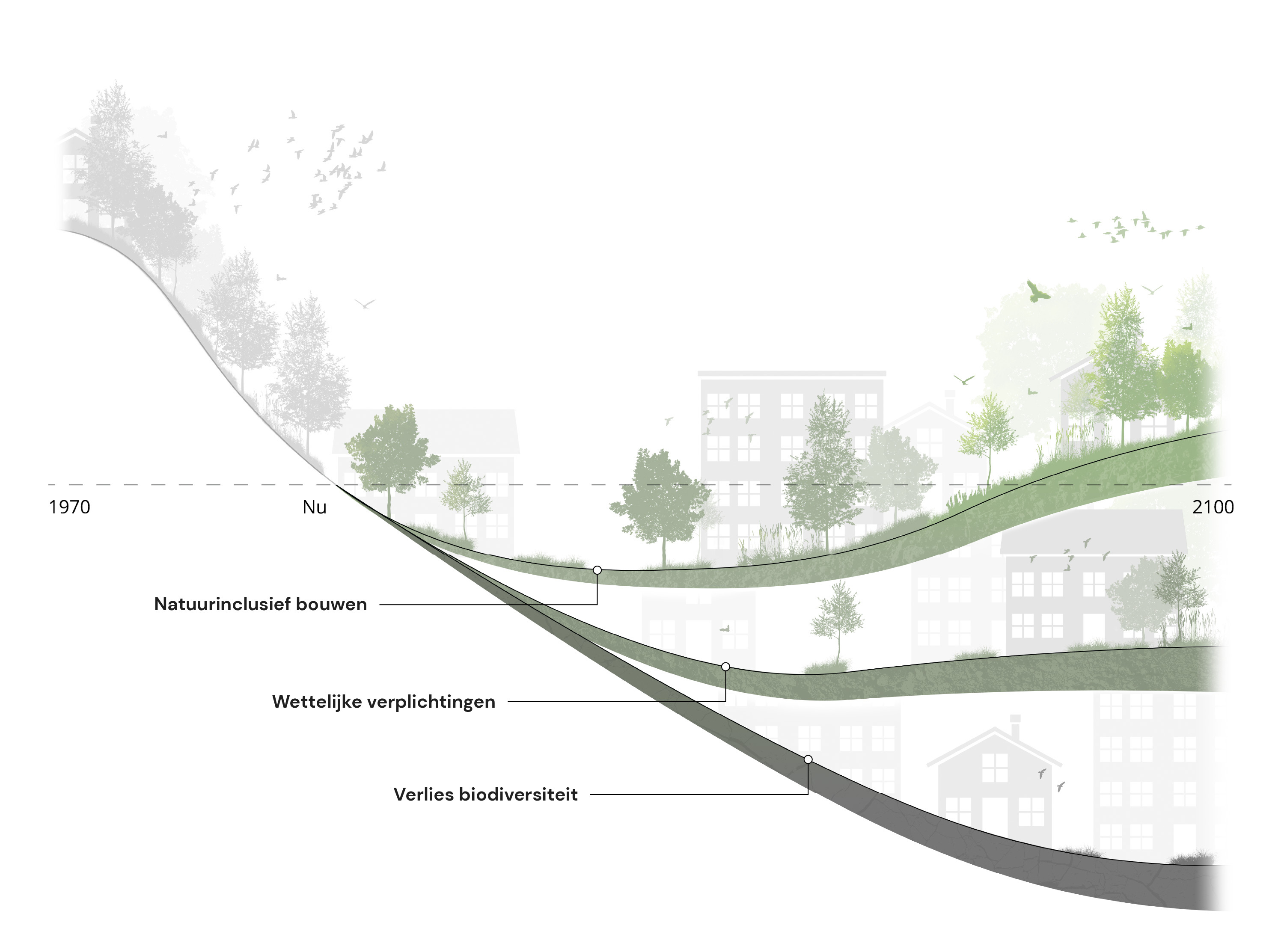 Biodiversiteitscurve 11 9 2024