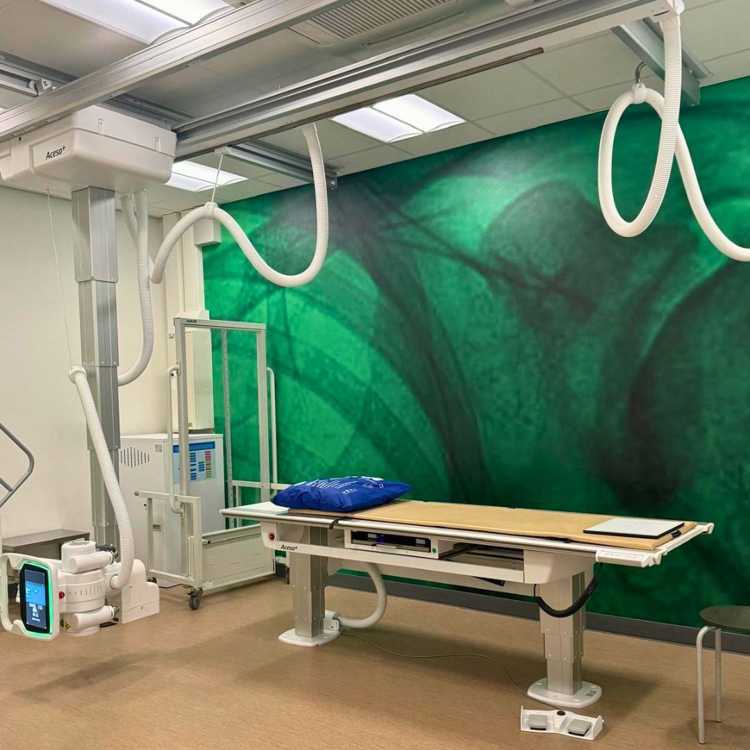 Buckykamers Martini zh Groningen