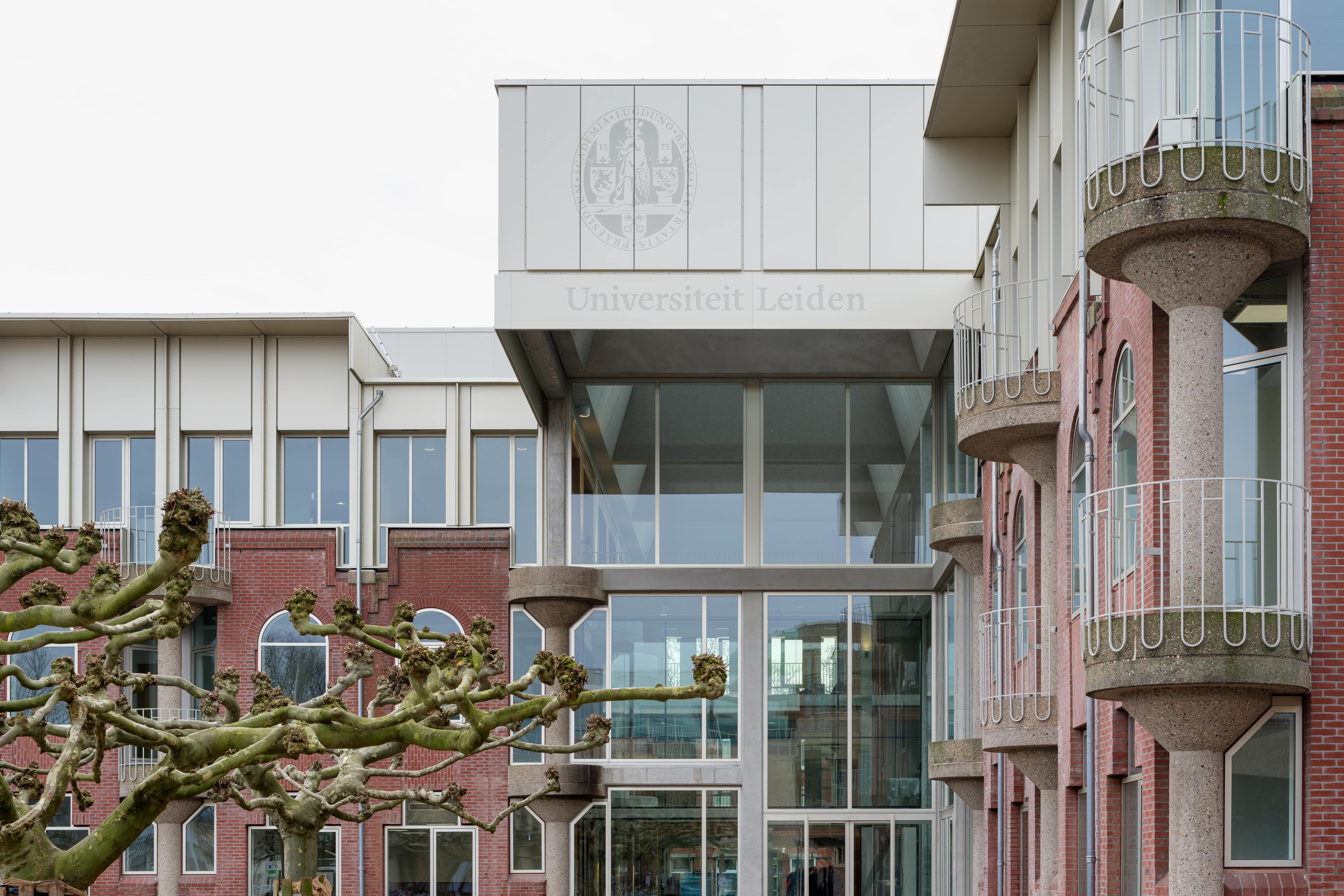 De Zwarte Hond Cluster Zuid Evabloem 01 min