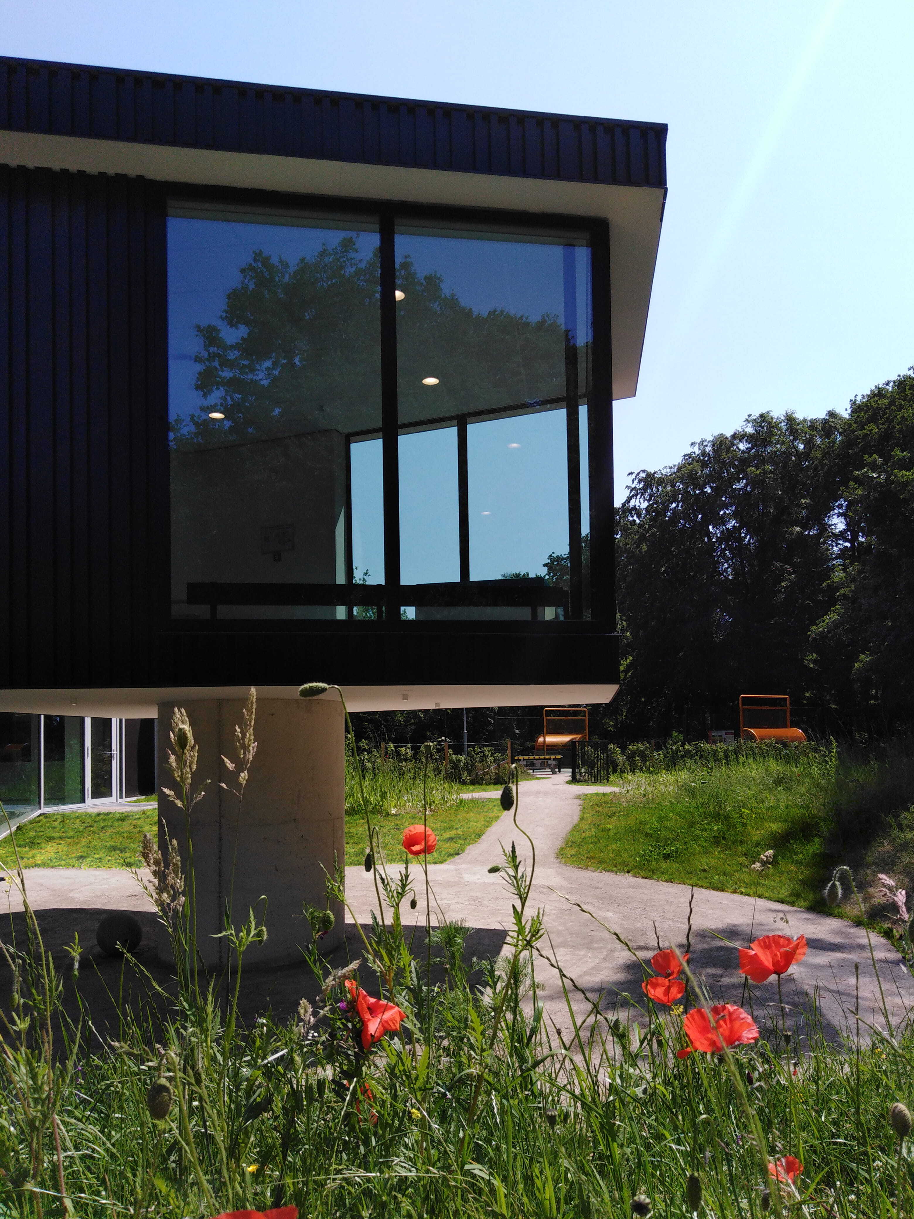 IMG 20230608 144942 bewerkt