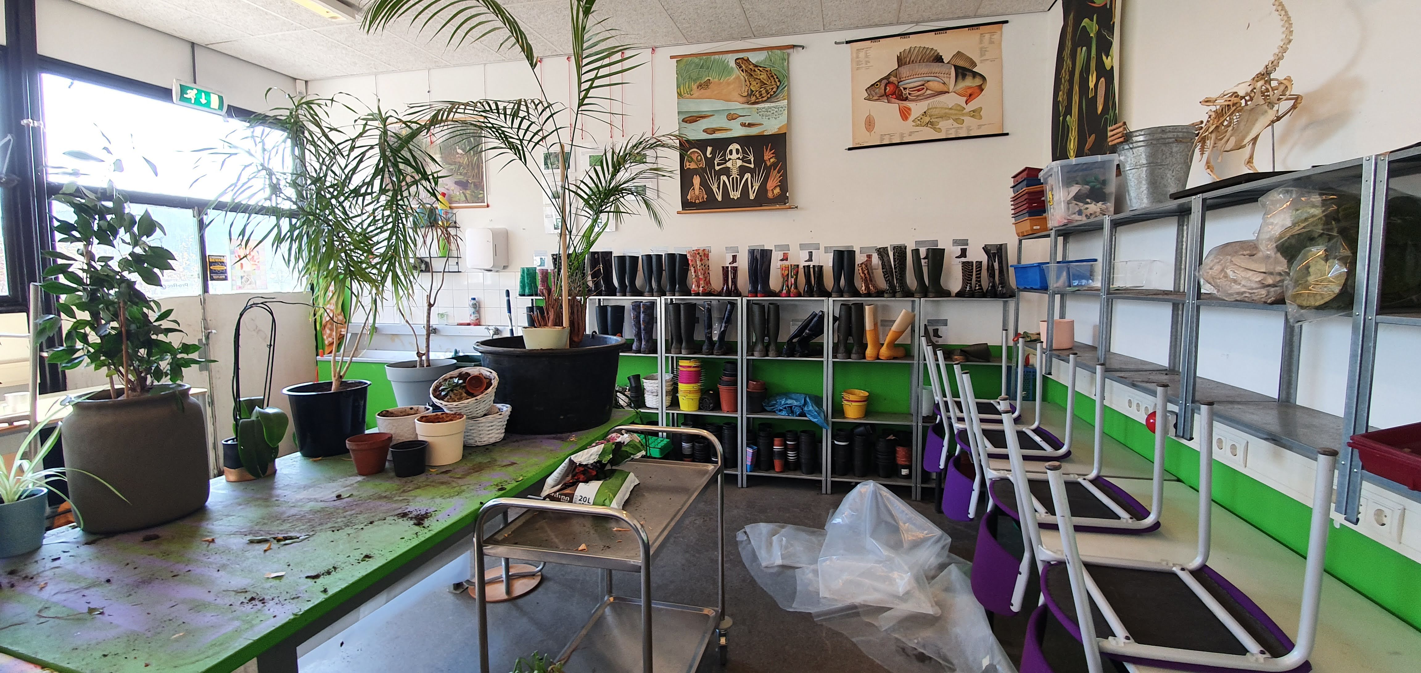 Spring Architecten Olympia College OUD