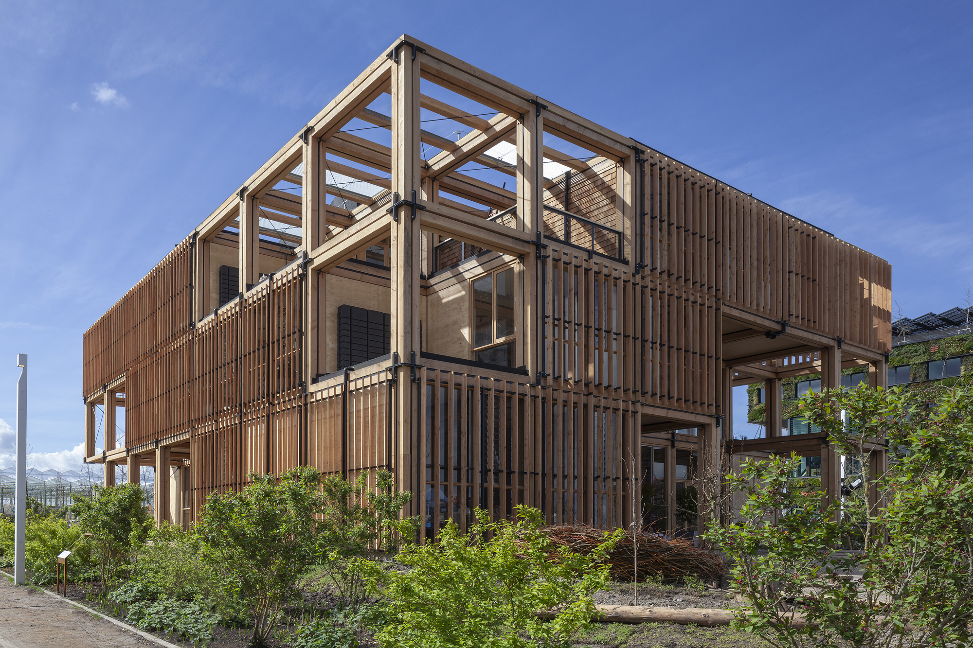 The natural pavilion dp6 architectuurstudio 4