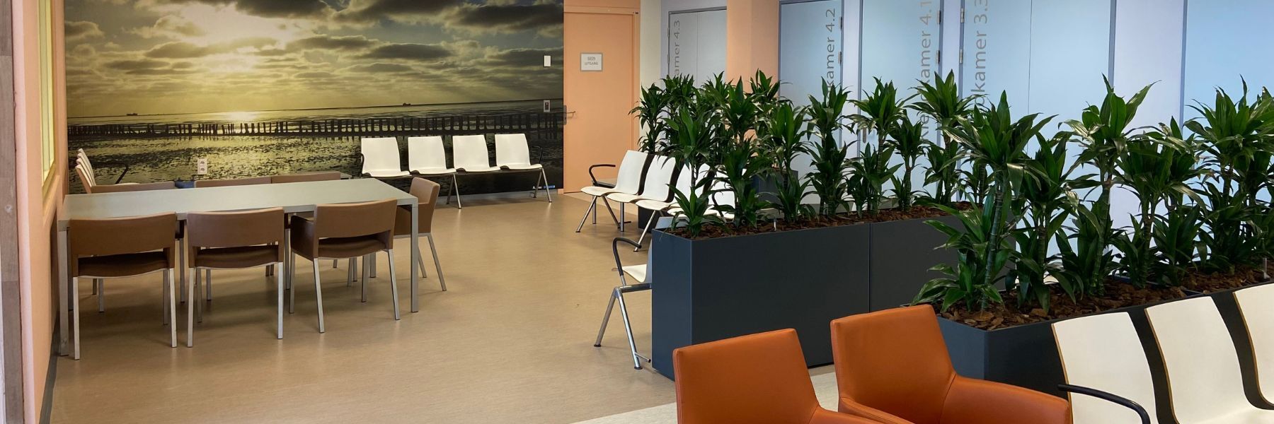 Wachtruimte Buckykamers Martini zh Groningen 3 1800 x 600 px